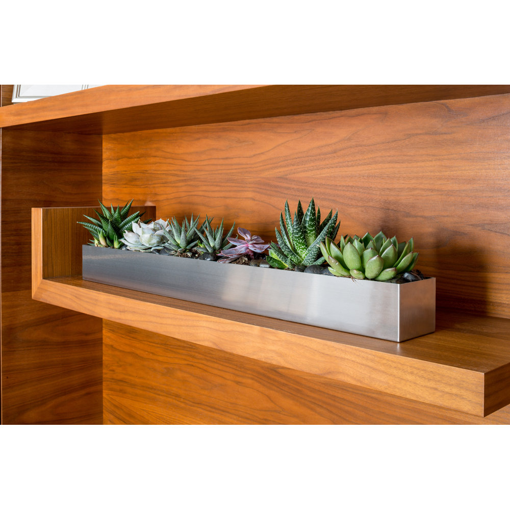 Veradek Geo Stainless Steel Planter Box & Reviews Wayfair