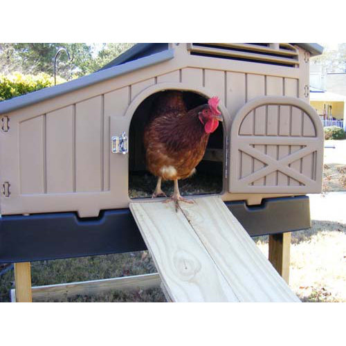 Formex Standard Chicken Coop & Reviews Wayfair