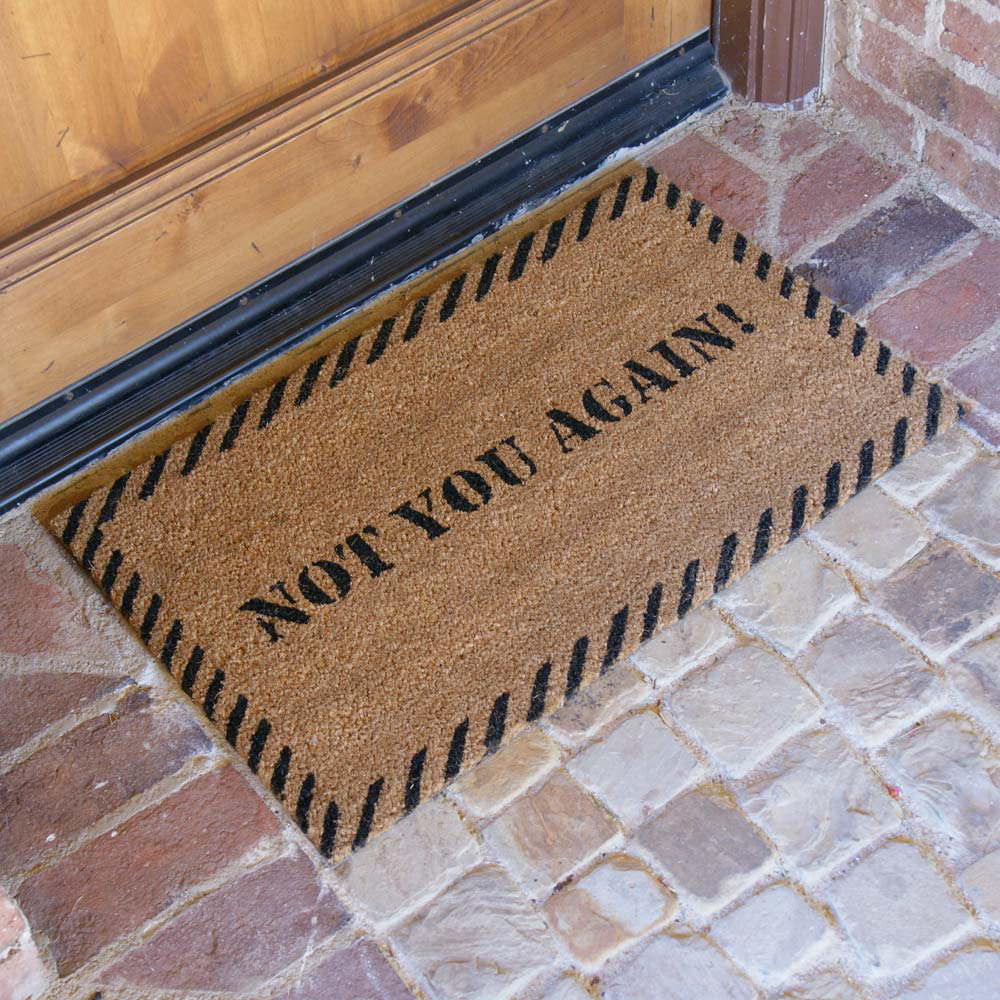 RubberCal, Inc. Not You Again Doormat Wayfair