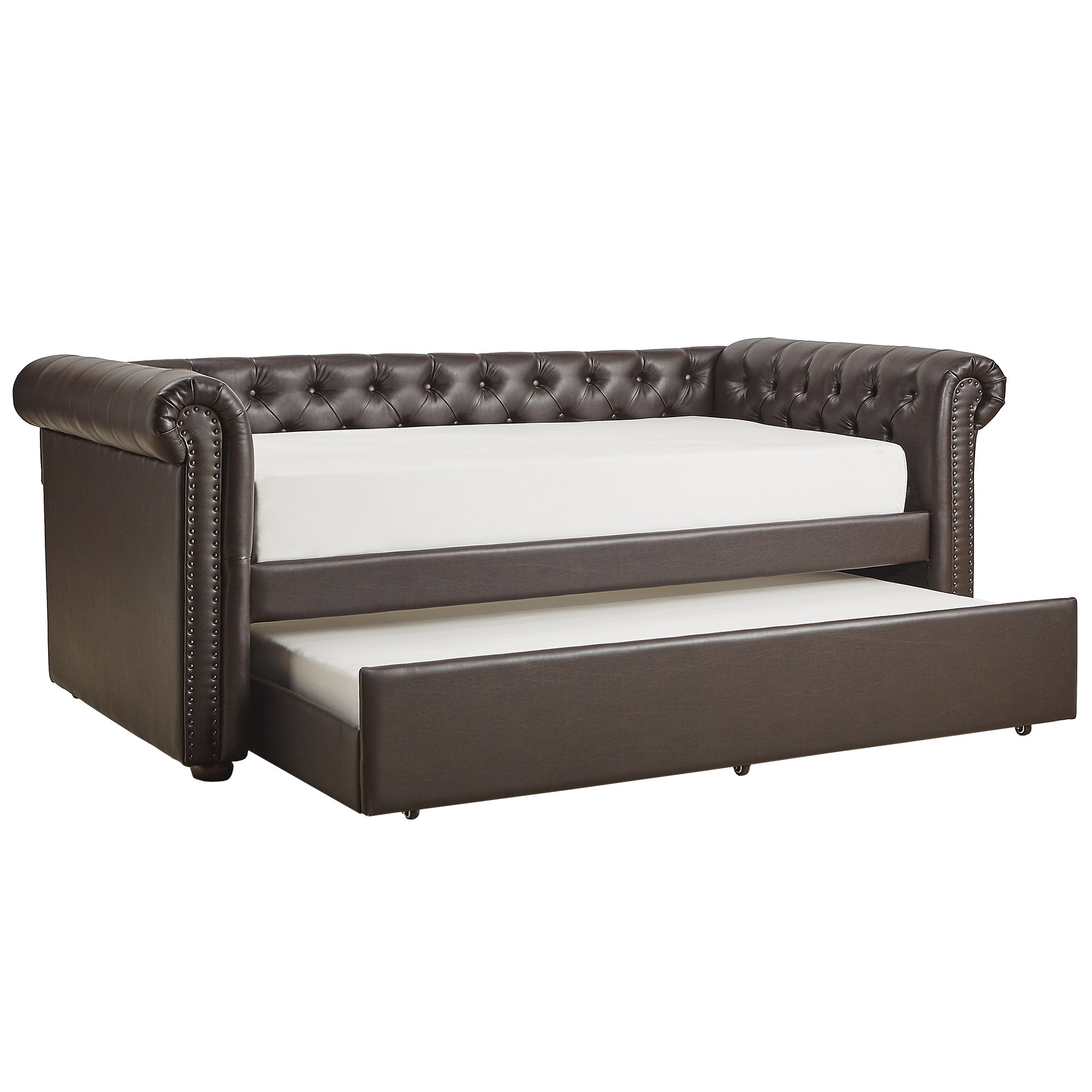 Darby Home Co Kaminsky Daybed with Trundle & Reviews | Birch Lane