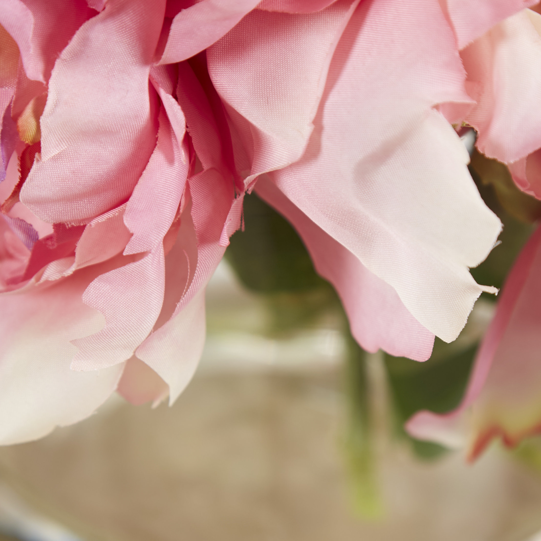 Charlton Home Scollfyld Pink Peony in Acrylic Water Glass Vase
