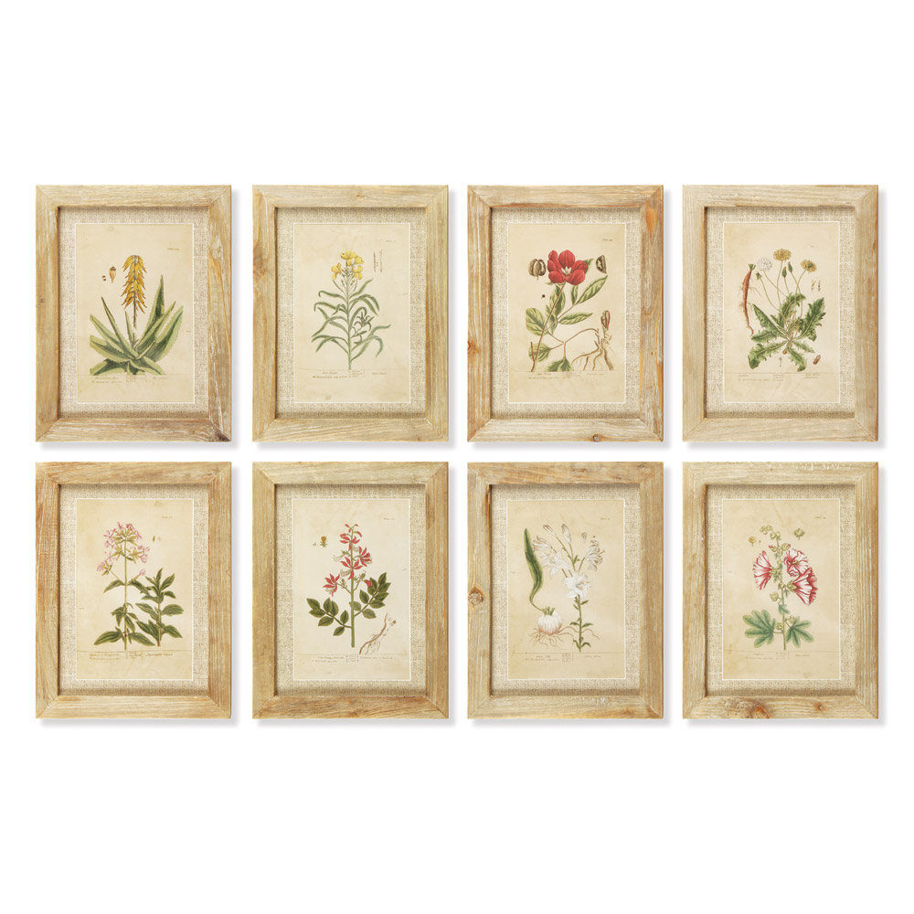 August Grove English Garden 8 Piece Framed Graphic Art Set & Reviews