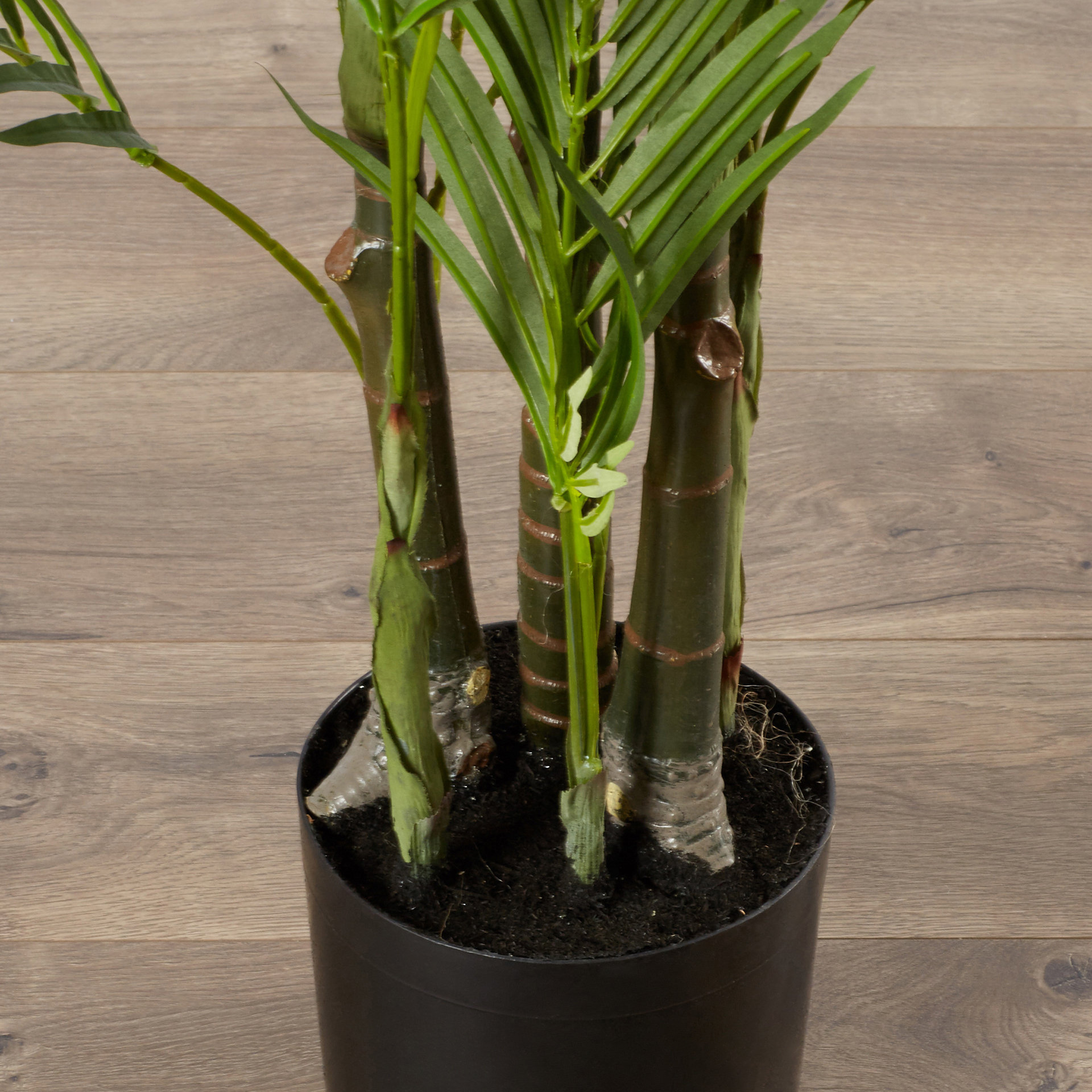 Beachcrest Home Brookings Silk Areca Palm Tree in Pot & Reviews Wayfair