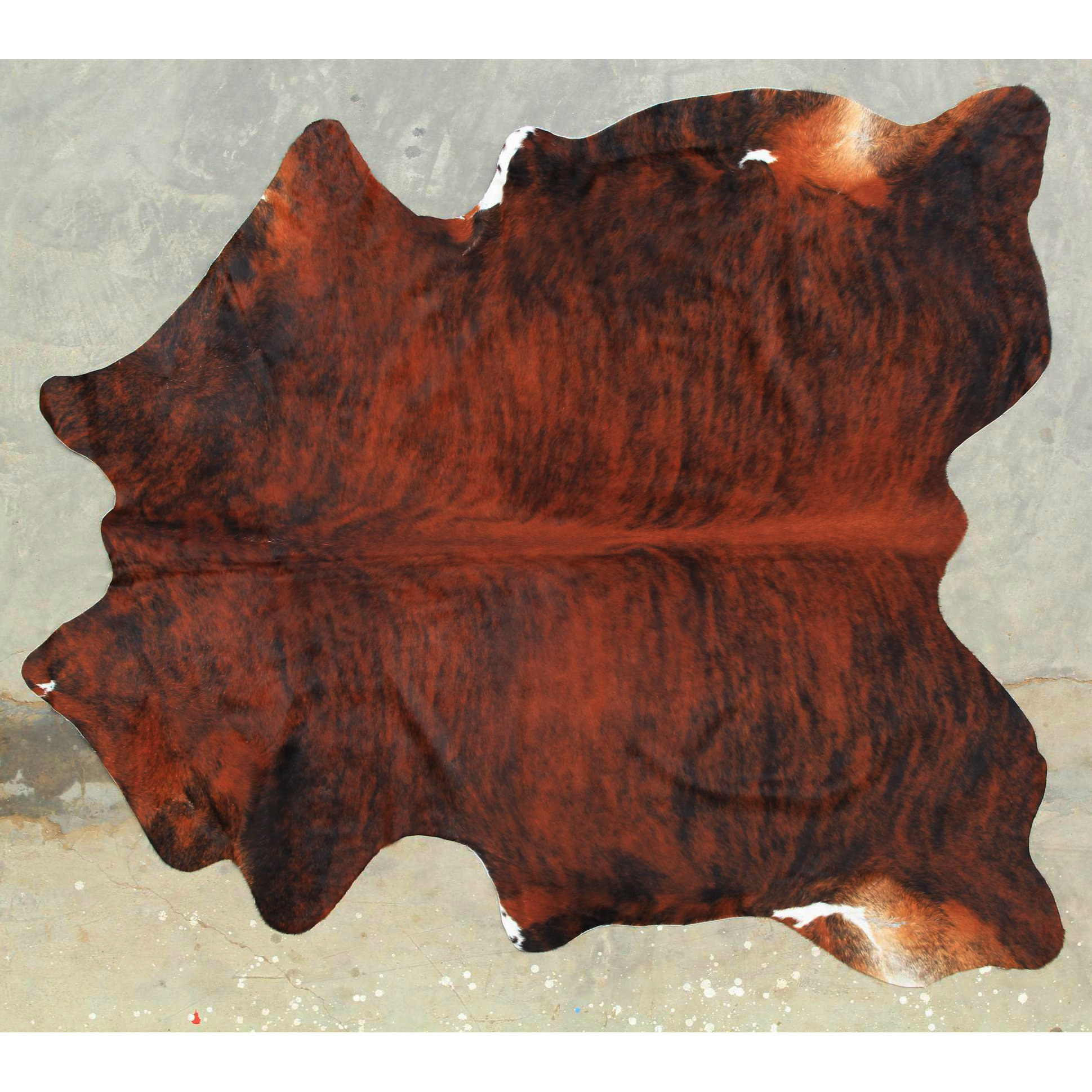 All Modern Rugs - Natural Exotic Cowhide Dark Brown Area Rug Allmodern all modern rugs - natural exotic cowhide dark brown area rug allmodern