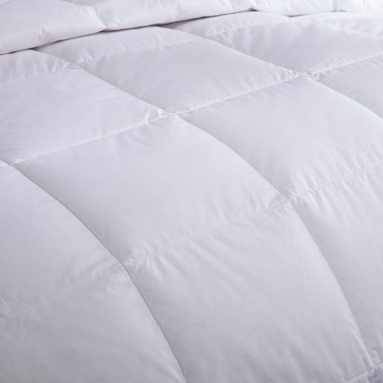 Puredown Lightweight Down Comforter & Reviews | Wayfair