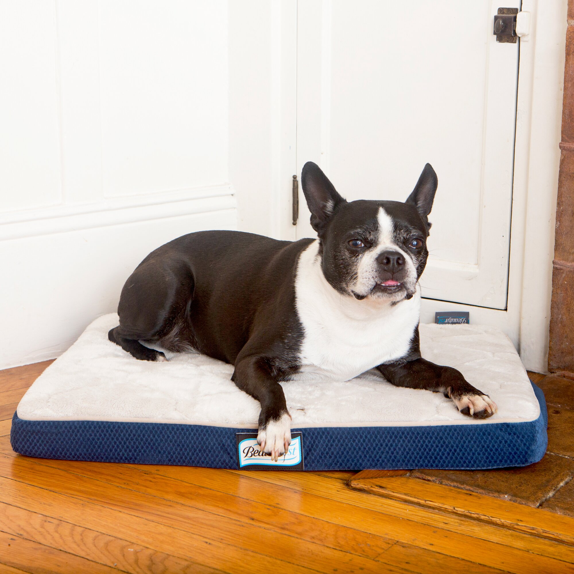 beautyrest ultra plush orthopedic foam pet bed