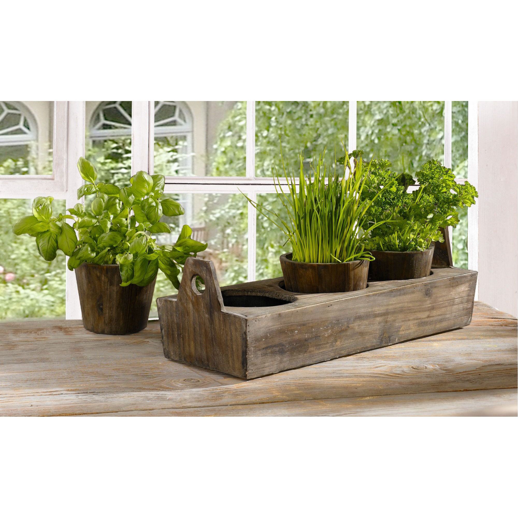 4Piece Rectangle Tray Planter Set & Reviews Joss & Main