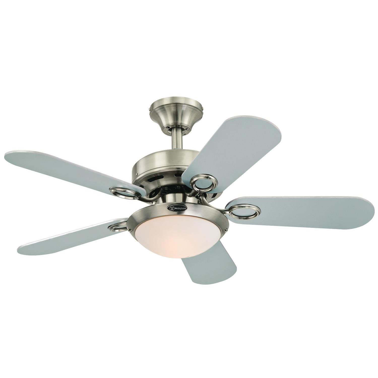 Flush Mount Ceiling Fans You Ll Love Wayfair 36 Cassidy Two Light Reversible 5 Blade Indoor Ceiling Fan