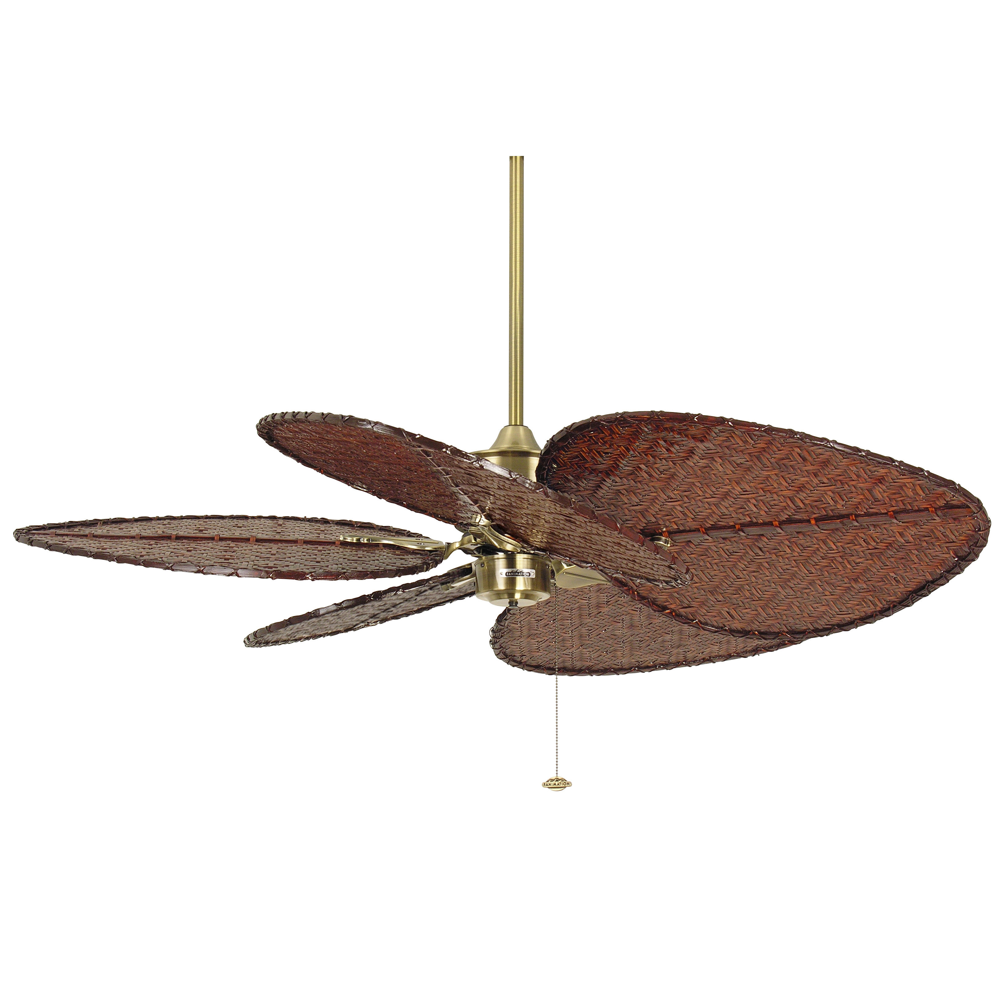 Islander Ceiling Fan 52 Fanimation You Fanimation 52 Islander 5 Bamboo Blade Ceiling Fan Reviews Wayfair