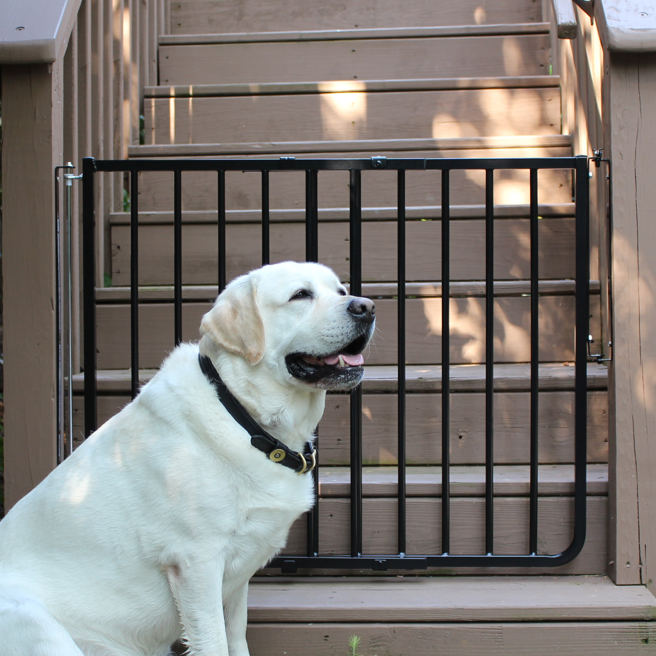 Cardinal Gates Stairway Special Outdoor Gate & Reviews Wayfair