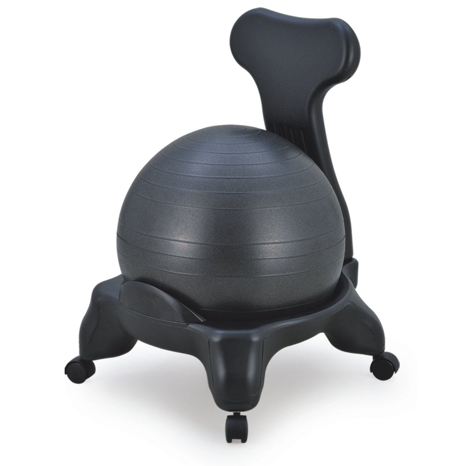 HighBack Exercise Ball Chair & Reviews Wayfair