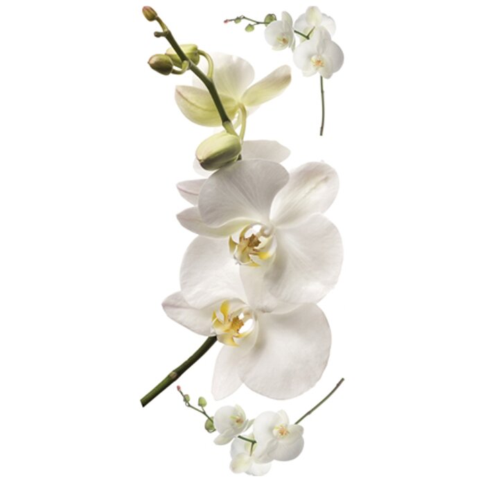 White Orchid Wedding