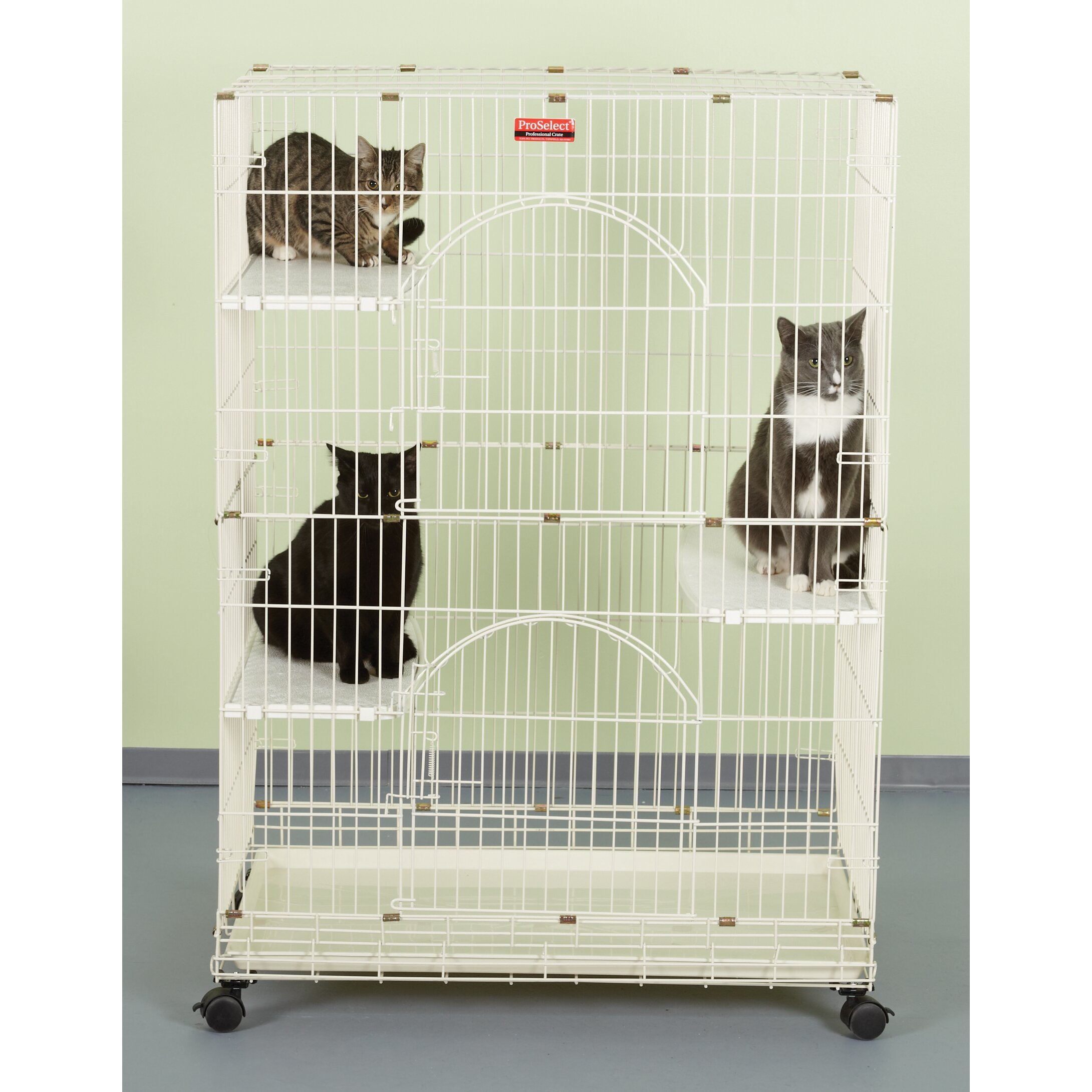 proselect cat cage