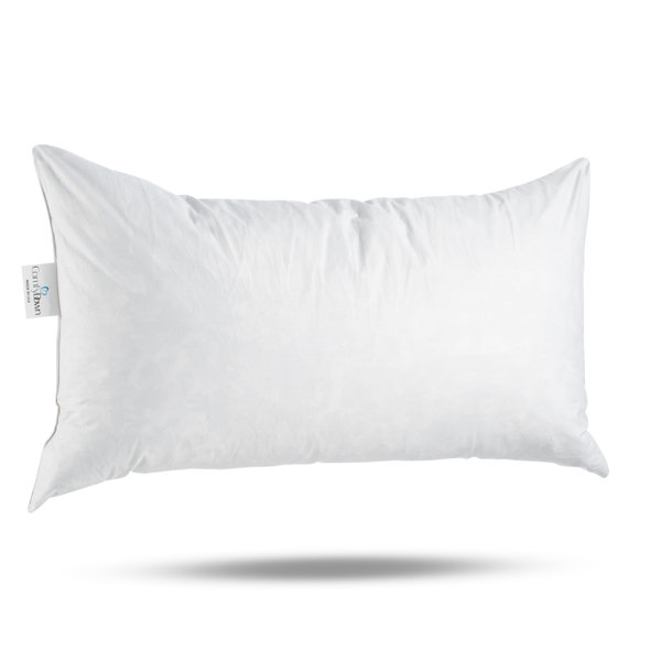 20 x 20 foam pillow insert