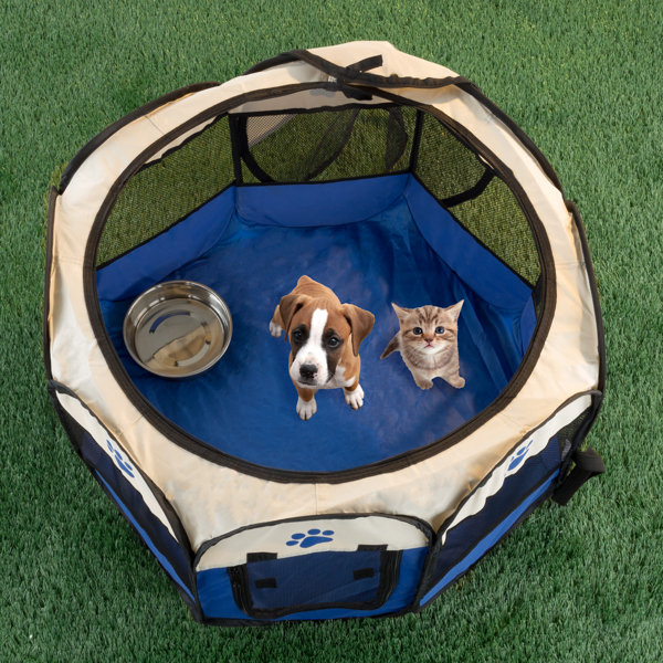 extra tall dog playpen