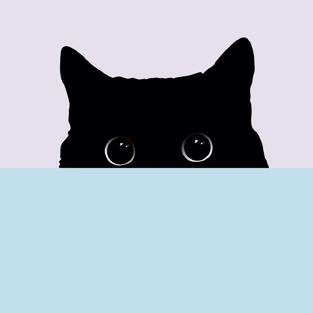 Кот выглядывает