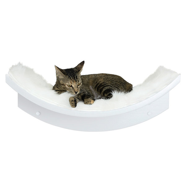cat wall perch