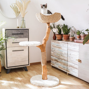 wayfair cat tree clearance