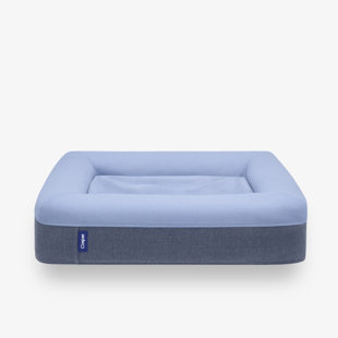 light blue dog bed
