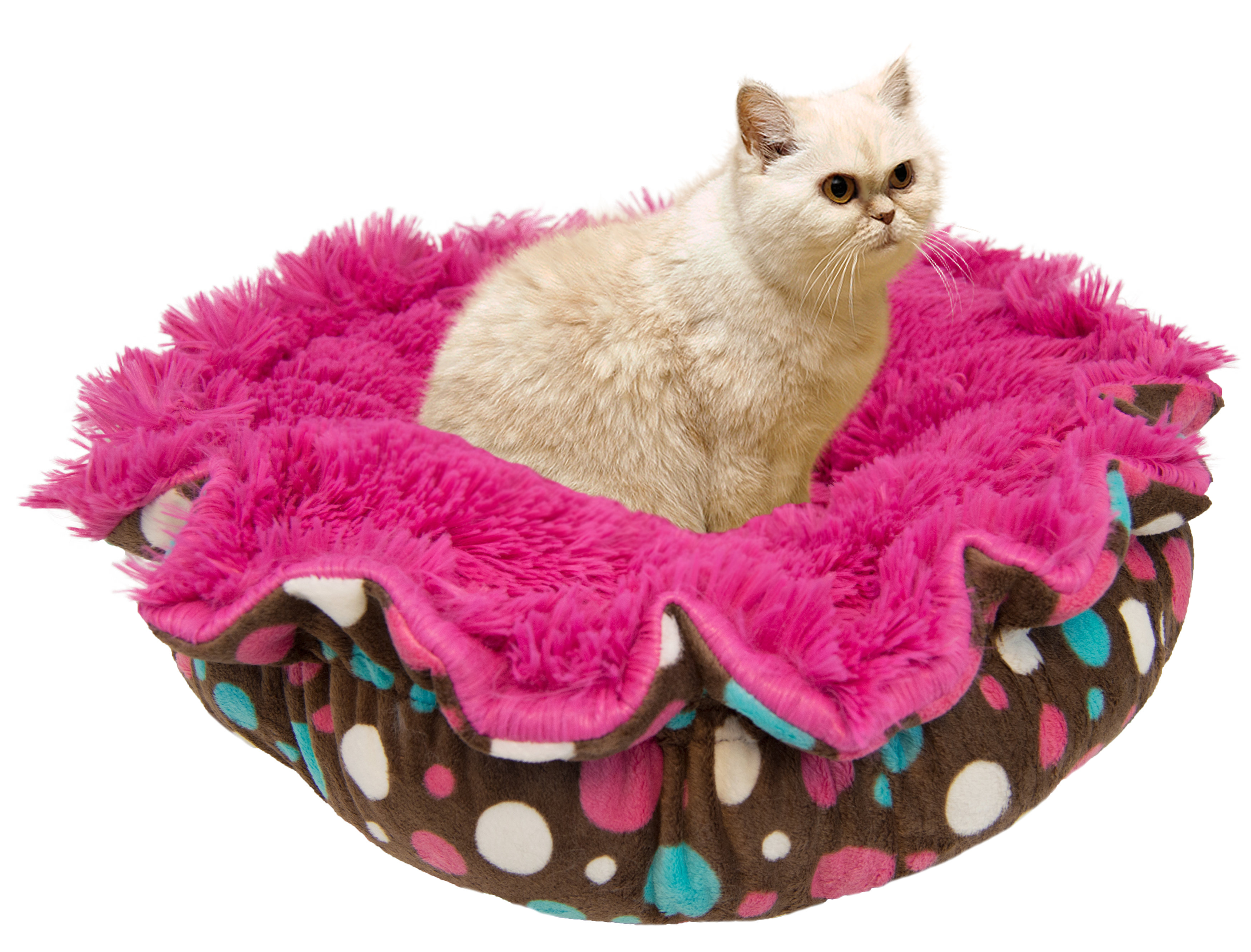 cake cat bed
