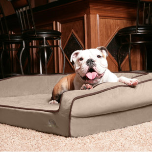 crown shaped dog bed
