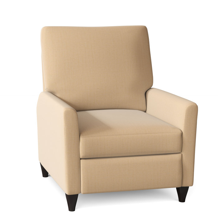 Wade Logan Ziolkowski 31" Wide Manual Recliner