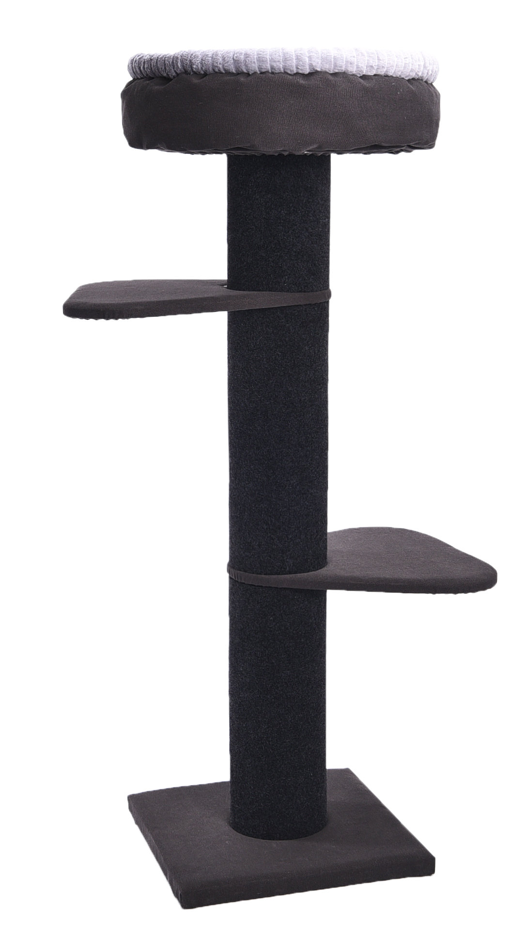 hillary high sleeper cat post