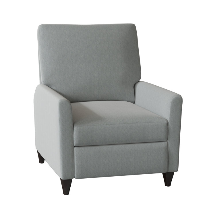 Wade Logan Ziolkowski 31" Wide Manual Recliner
