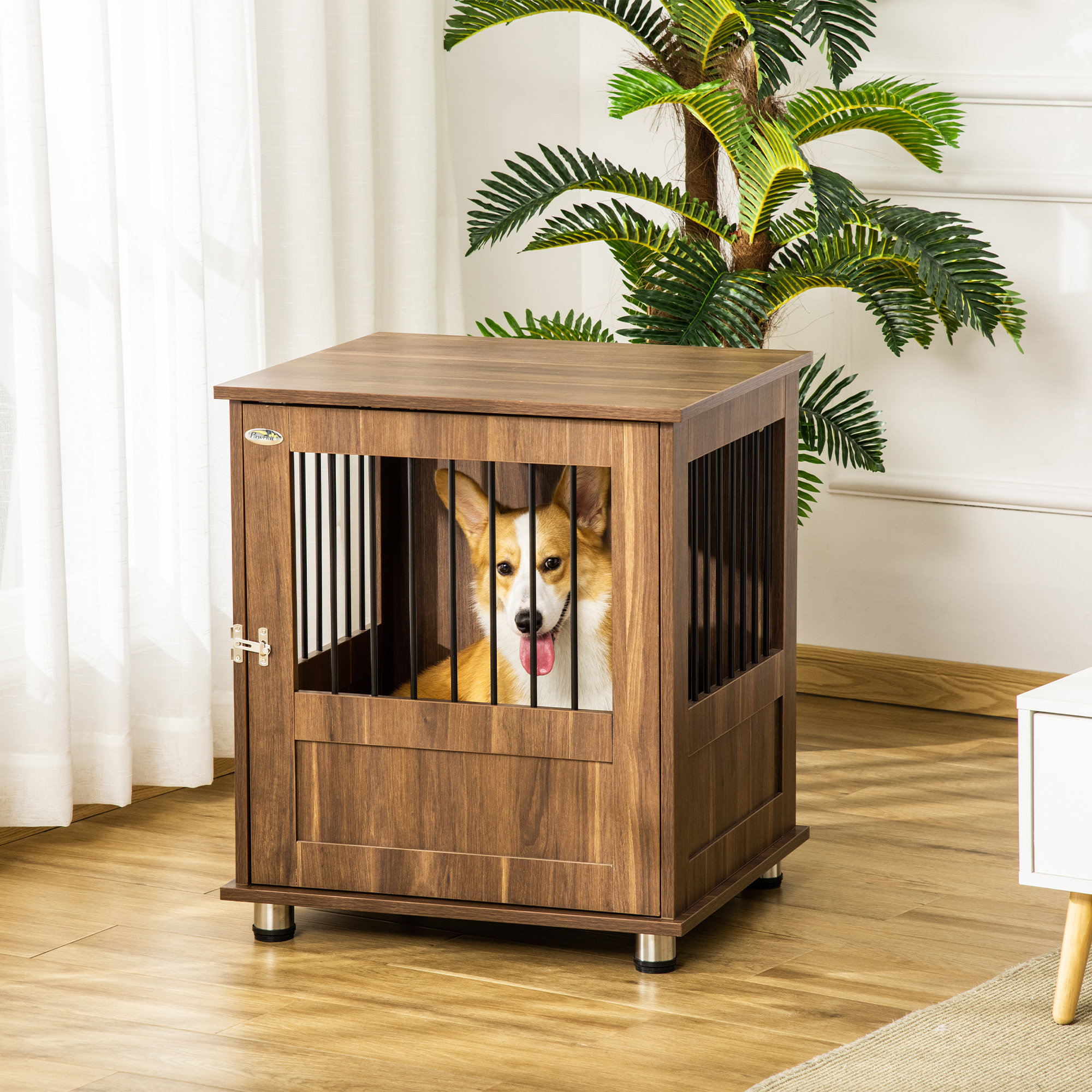 shipping dog crate