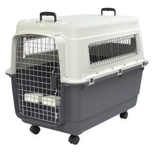 small plastic dog crate