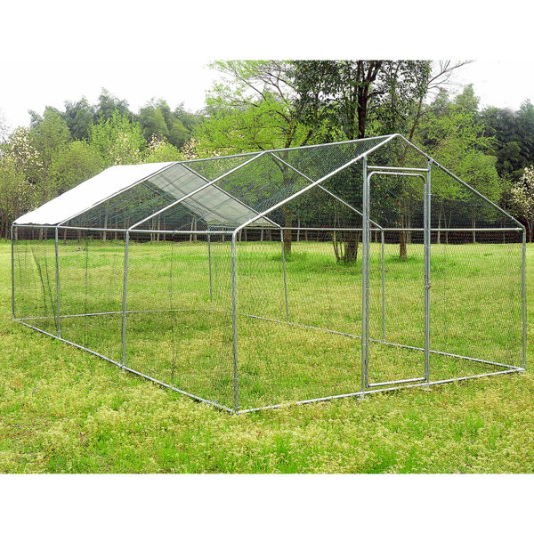 chicken playpen