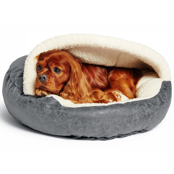 large hooded dog bed