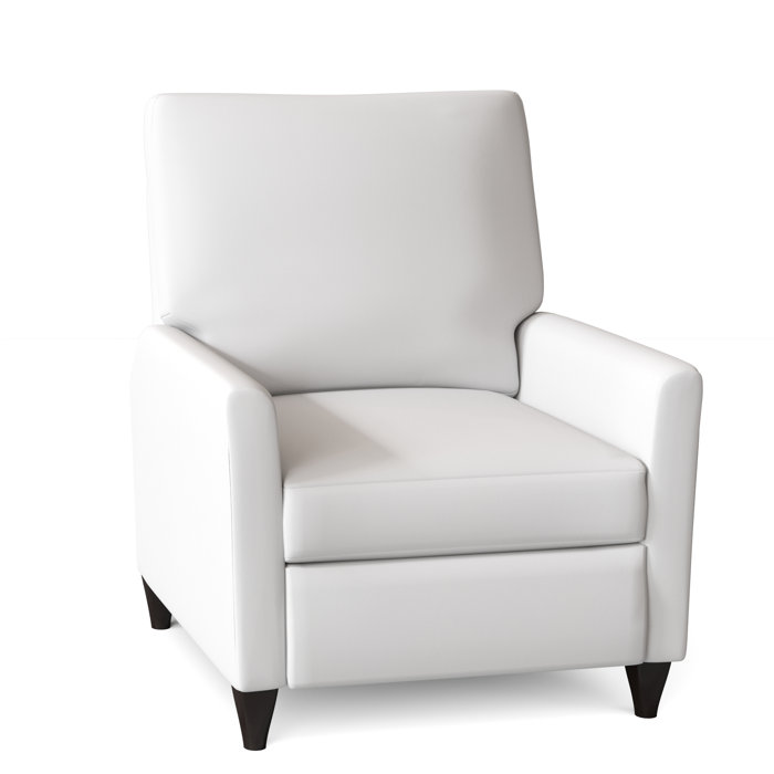Wade Logan Ziolkowski 31" Wide Manual Recliner