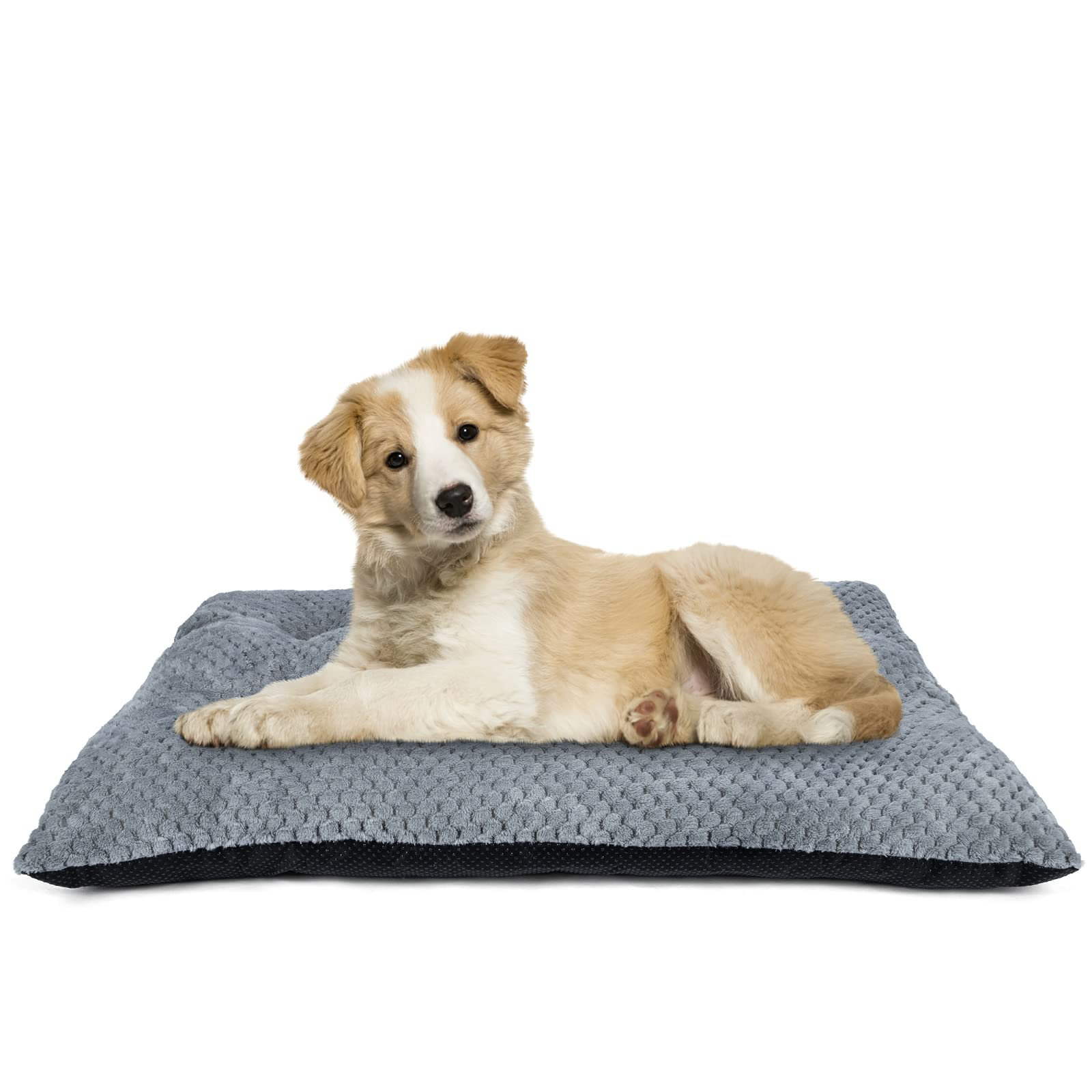 large dog kennel bed