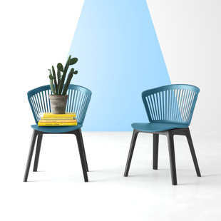 cat proof dining chairs