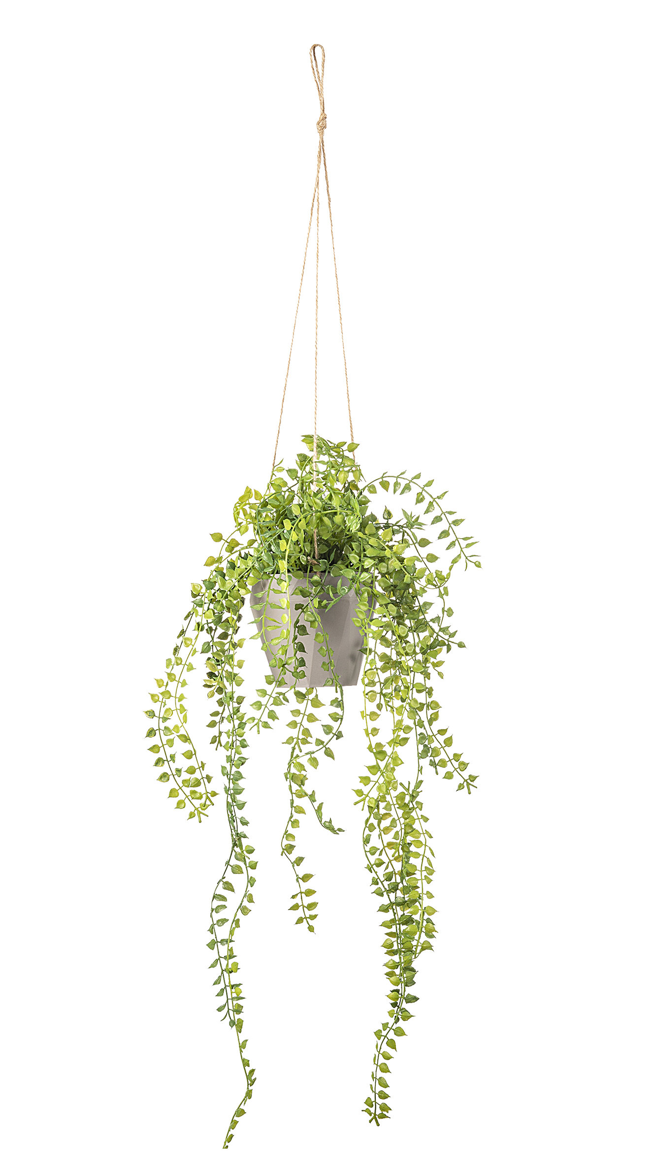 Ophelia & Co. Ferm Hanging Basket & Reviews | Wayfair