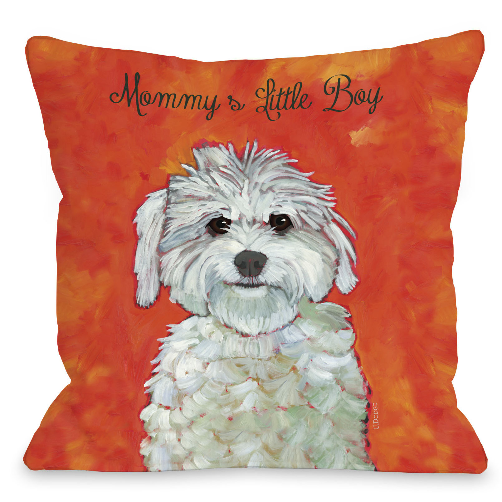 boy throw pillows