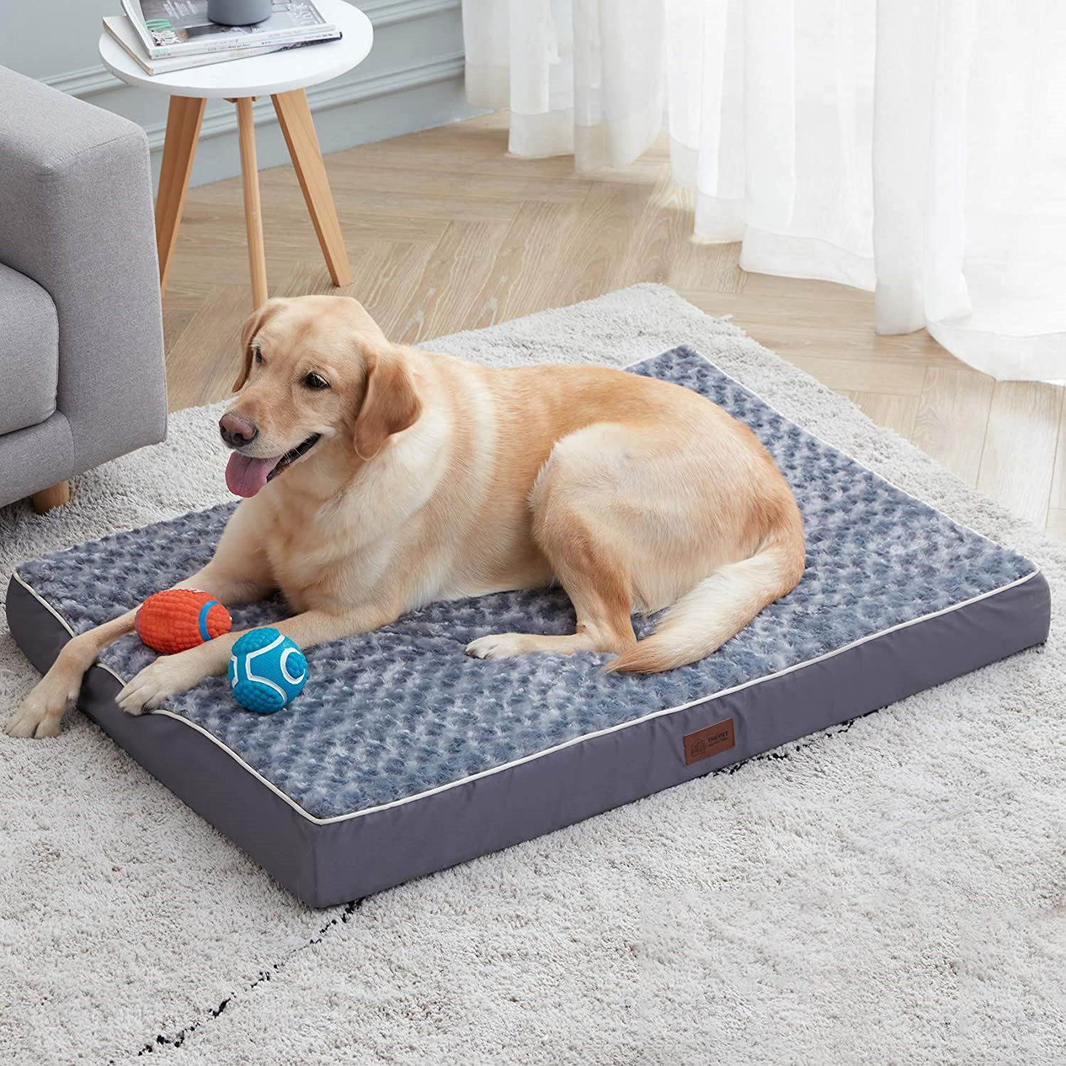 jumbo orthopedic dog bed