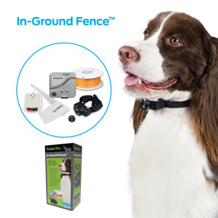 underground dog fence system