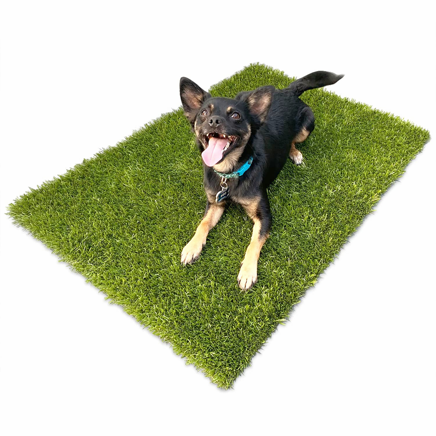 dog proof doormat