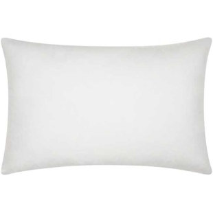 12x20 down pillow insert