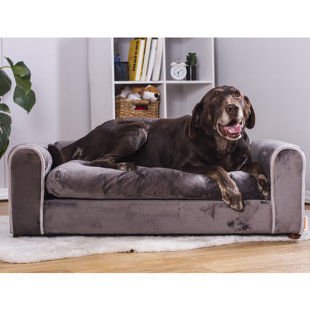 tainoki pet sofa