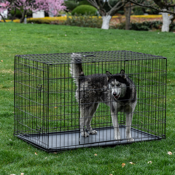 48 inch soft sided dog crate