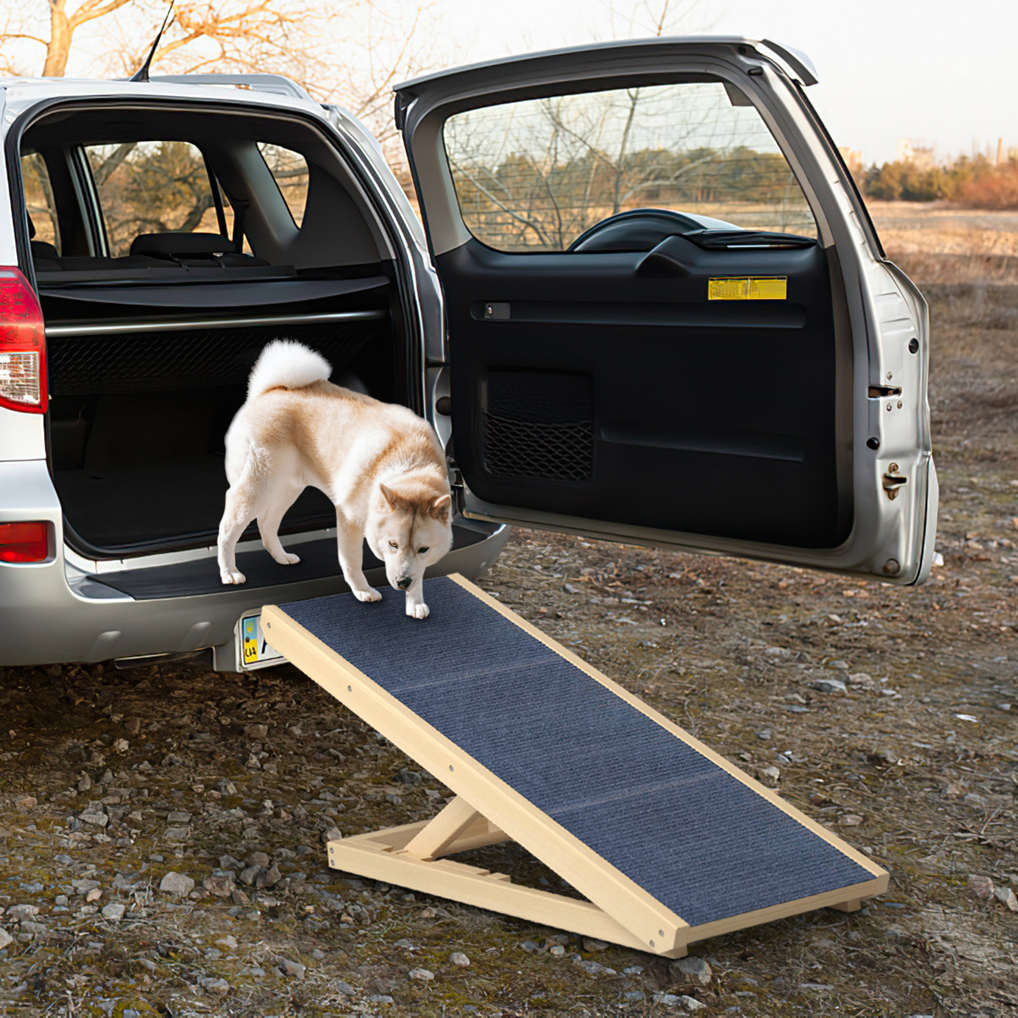 dog ramp for van