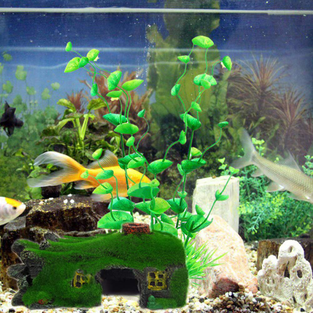 small fish tank decor
