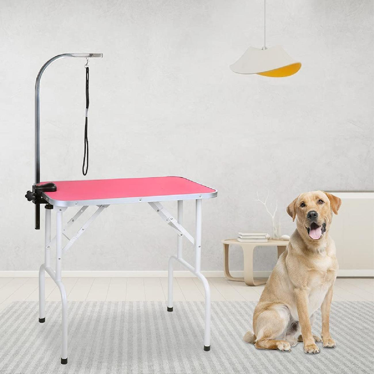 lightweight dog grooming table