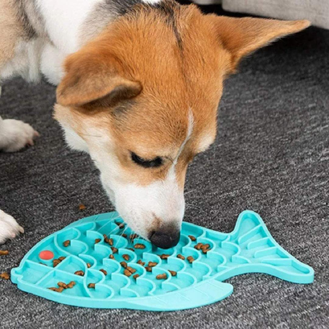 slow release dog feeder