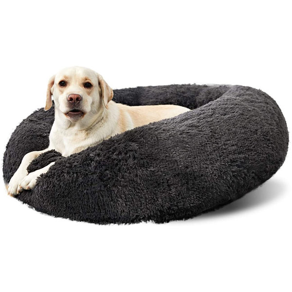 large circle dog bed