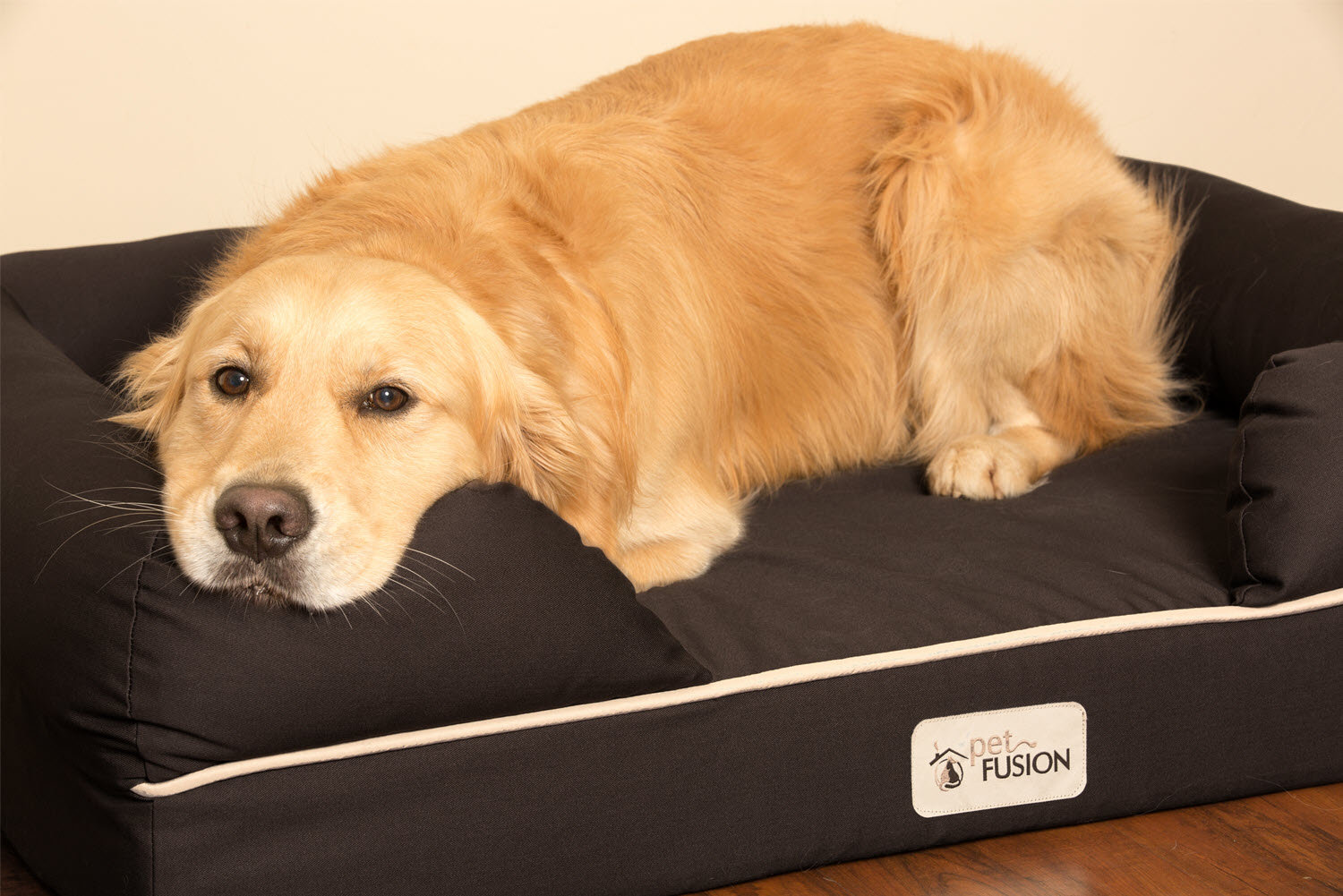 wayfair dog beds