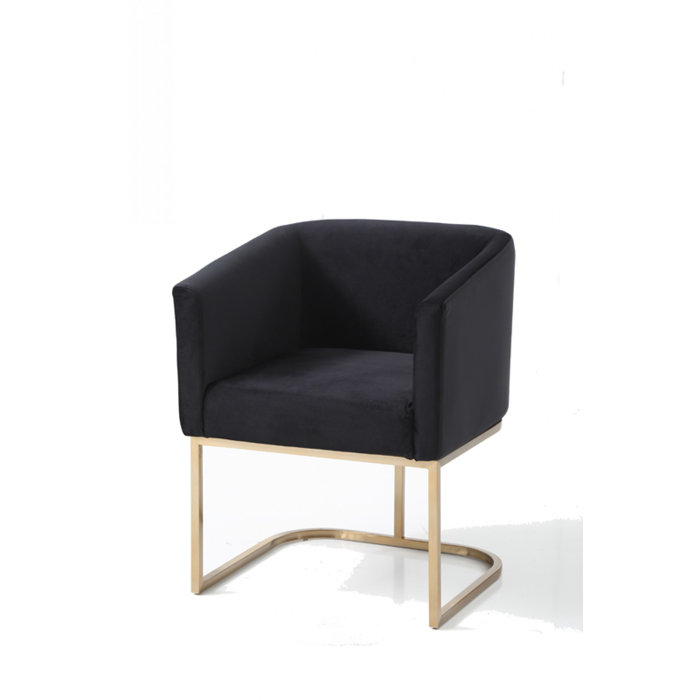 Joss and Main Mcgowen Upholstered Arm Chair